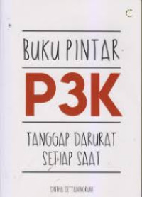 Image of p3k